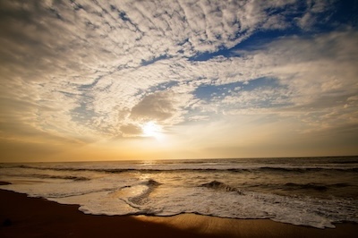 새로운 기회: 2025년 말, N잡러를 위한 부업 시장 동향 분석